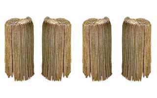 阴阳眼·第四夜：牙祭