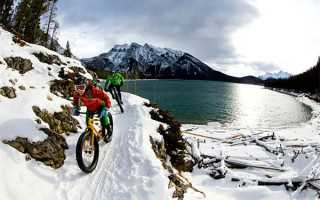 阿雅说大s墓地没敲定，s妈发声了，具俊晔却这般回应