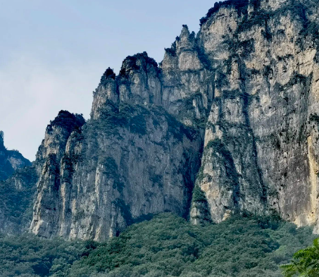 故事：因果：这个男孩一出生就浑身臭不可闻，原来和前世做的一件事有关